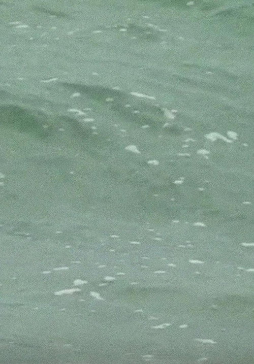 Movie poster for Cape Cod (2018)