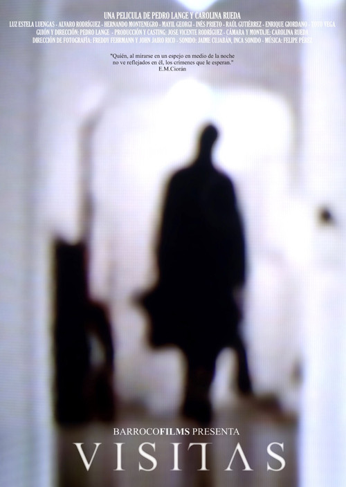 Movie poster for Visitas (2006)