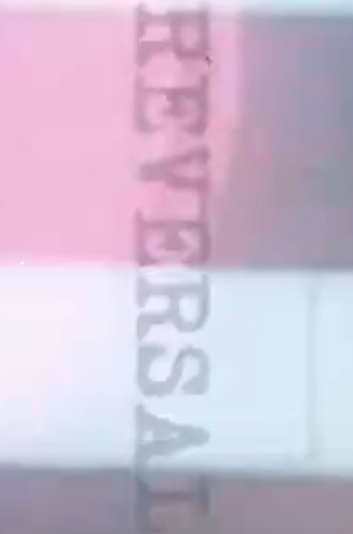 Movie poster for Reversal (2024)