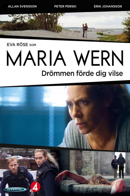 Movie poster for Drömmen förde dig vilse (2013)