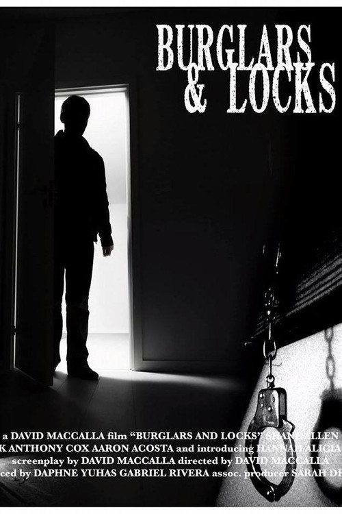 Movie poster for Burglars & Locks
