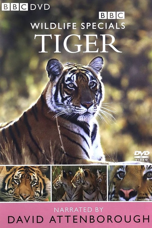 Movie poster for Tiger: The Elusive Princess (1999)