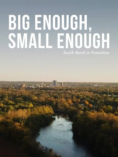 Movie poster for Big Enough, Small Enough (2020)
