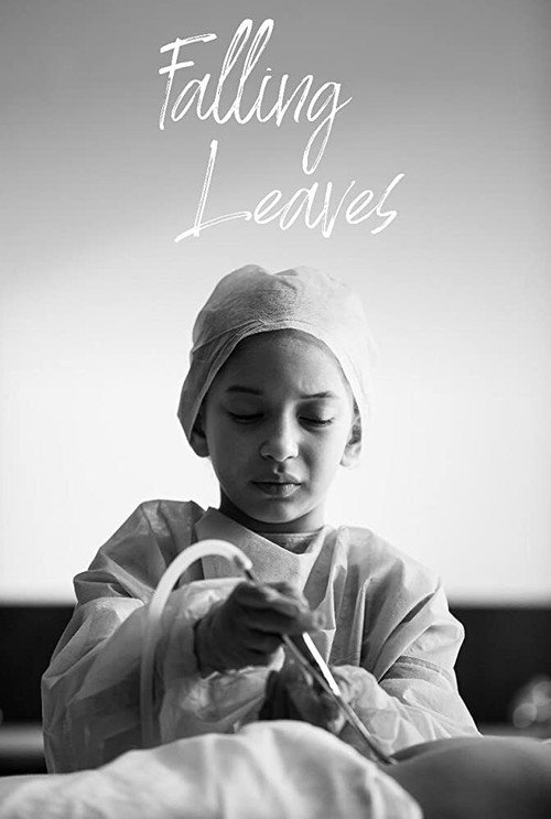 Movie poster for Falling Leaves (2019)