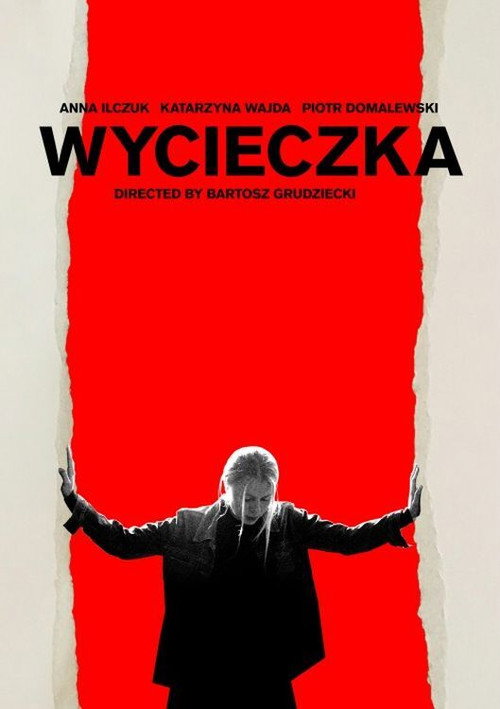 Movie poster for Wall (2019)