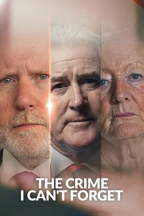 Series poster for The Crime I Can't Forget (2025)