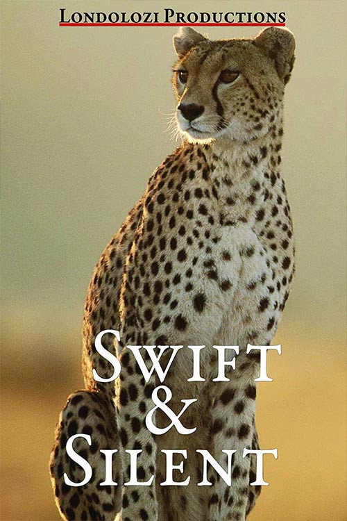 Movie poster for Swift and Silent (1990)