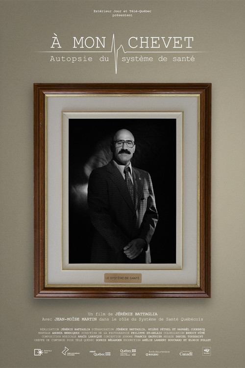 At my bedside: an autopsy of the healthcare system poster