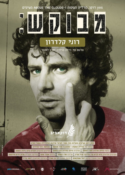 Movie poster for Wanted: Roni Kalderon