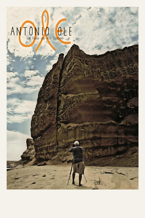 Movie poster for Ole António Ole (2013)