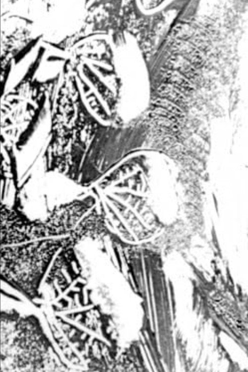 Movie poster for Atlantyda (1972)