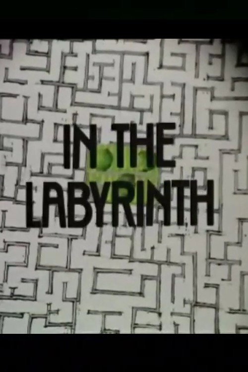 Movie poster for In the Labyrinth (1976)