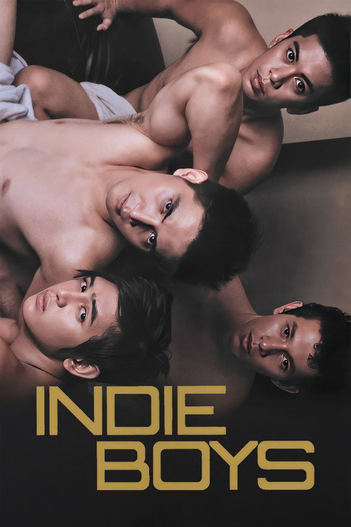 Movie poster for Indie Boys (2010)