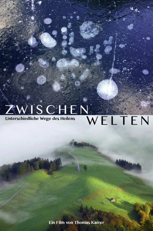 Movie poster for Zwischenwelten - Unterschiedliche Wege des Heilens (2020)