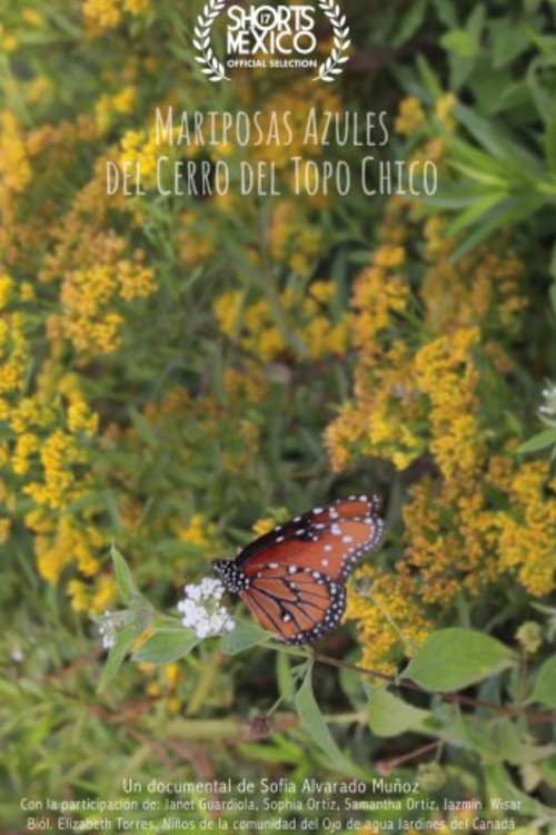 Movie poster for Mariposas Azules Del Cerro Del Topo Chico (2022)
