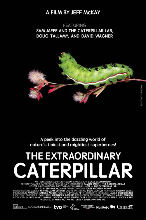 Movie poster for The Extraordinary Caterpillar