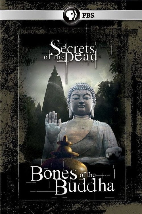 Movie poster for Bones of the Buddha (2013)
