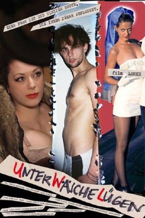 Movie poster for Unterwäschelügen (2016)