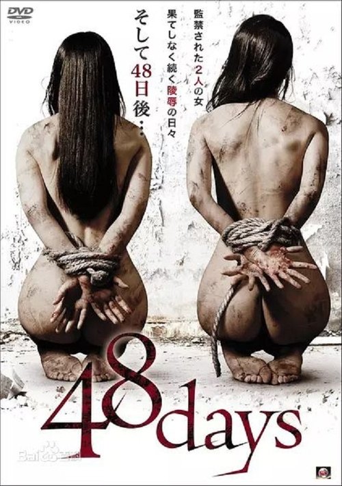 Movie poster for 48 Days (2014)