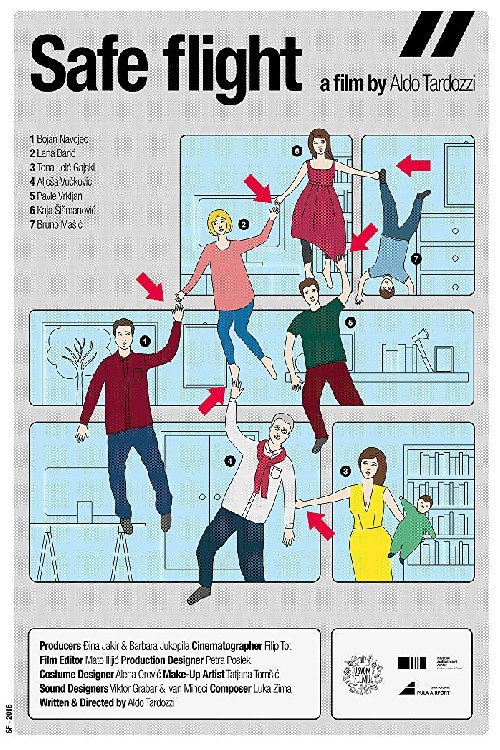 Movie poster for Safe Flight (2017)