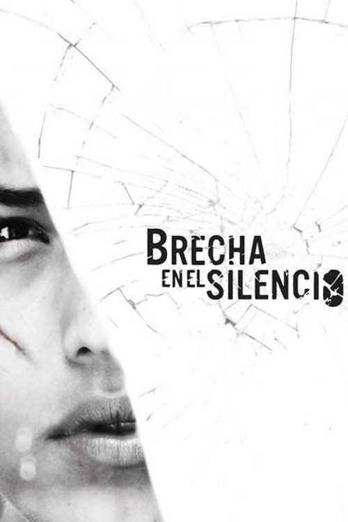 Movie poster for Breach in the Silence (2013)