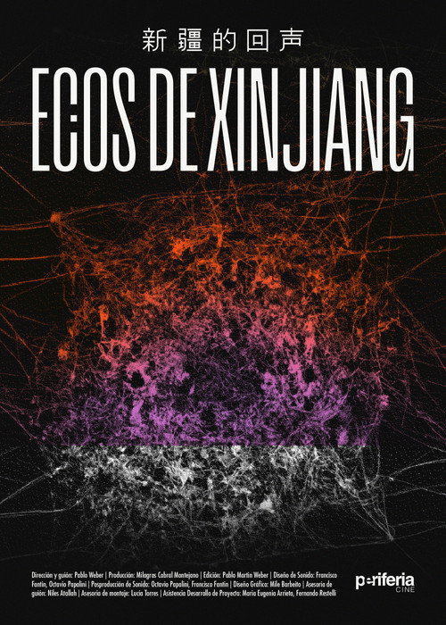 Movie poster for Echoes from Xinjiang (2024)