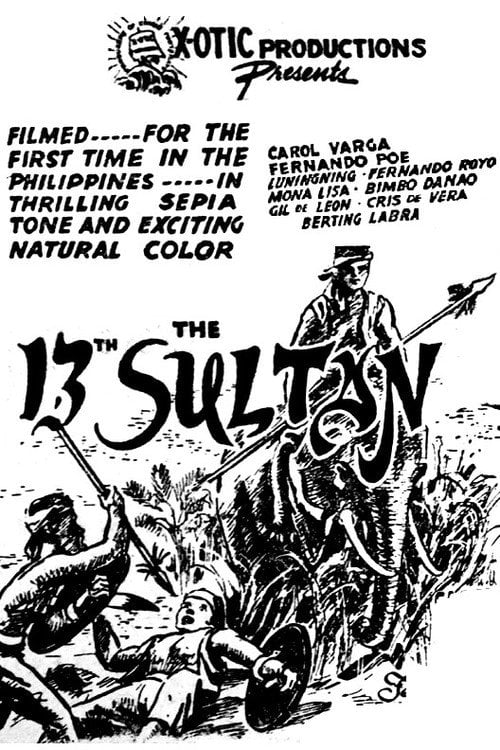Movie poster for The 13th Sultan (1949)