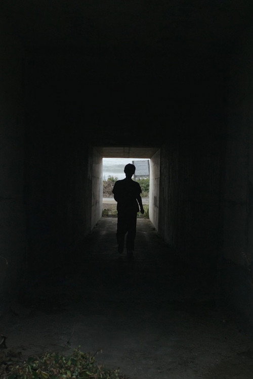 Movie poster for にびさびの巣 (2022)
