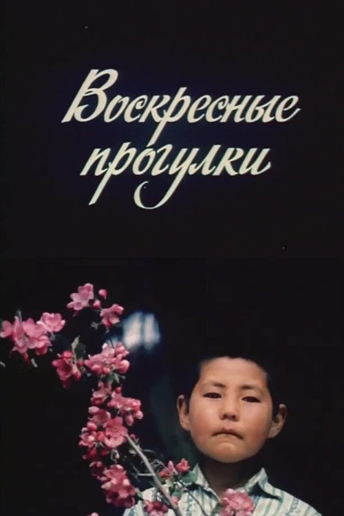 Movie poster for Sunday Walks (1984)