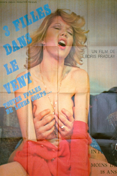 Movie poster for Trois filles dans le vent (1981)