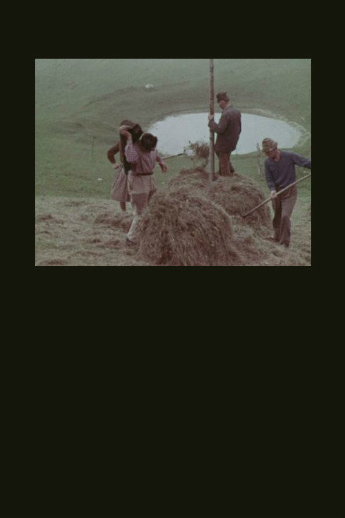 Movie poster for La montagna del sole (1966)