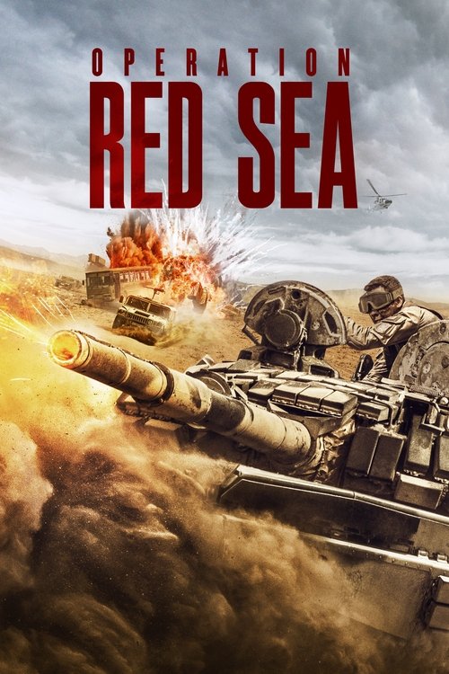 Movie poster for Operation Red Sea (2018)