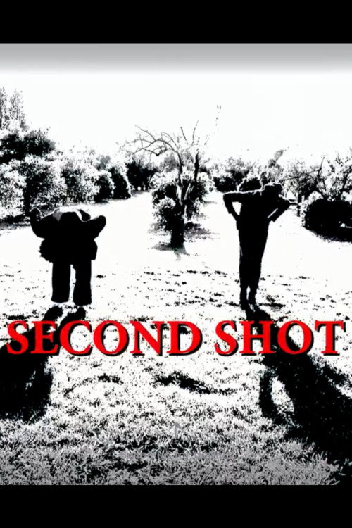 Movie poster for Second Shot (2017)