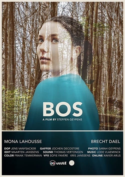Movie poster for Bos (2019)