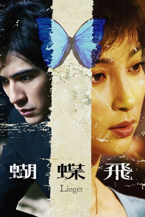 Movie poster for Linger (2008)