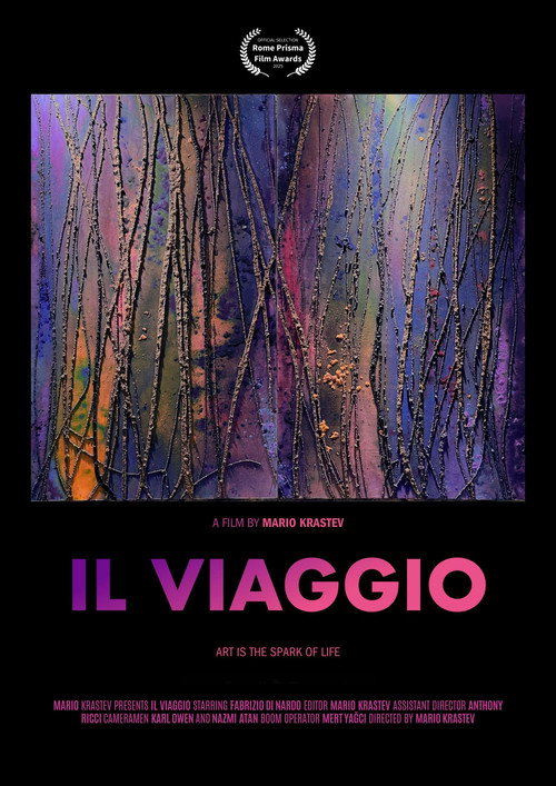 Movie poster for IL VIAGGIO