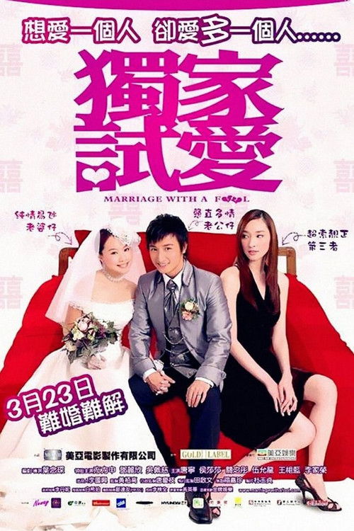 Movie poster for Marriage with a Fool (2006)