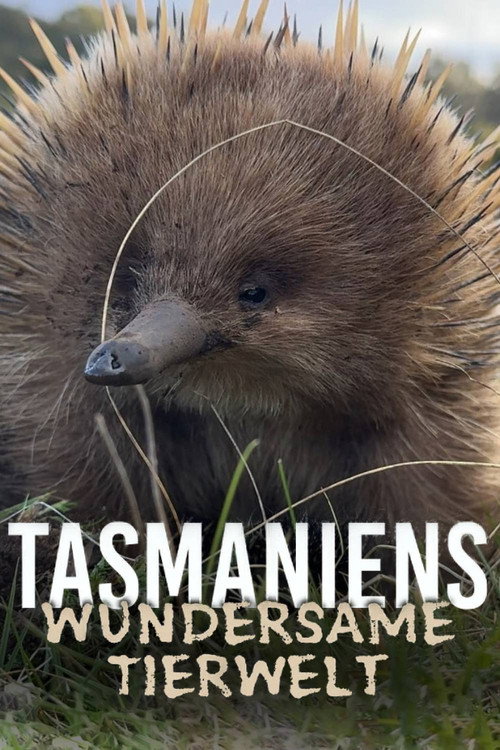 Series poster for Tasmania’s Wild Treasures (2026)