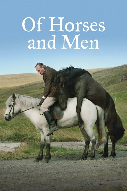 Movie poster for Of Horses and Men (2013)