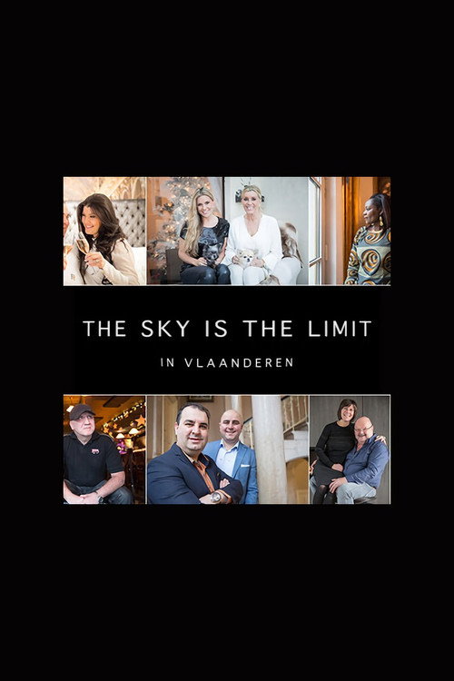 Series poster for The Sky is the Limit (2014)