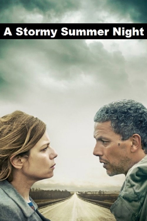 Movie poster for A Stormy Summer Night (2015)