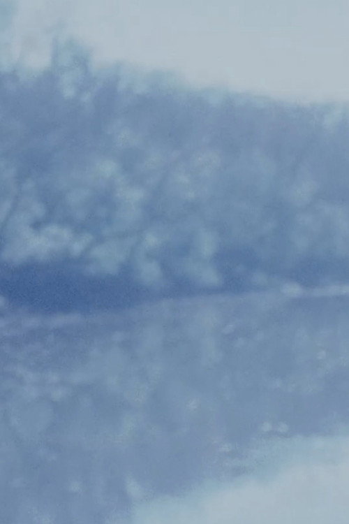 Movie poster for Consumed 4 (2001)