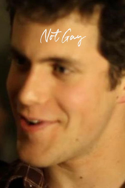 Movie poster for Not Gay (2013)