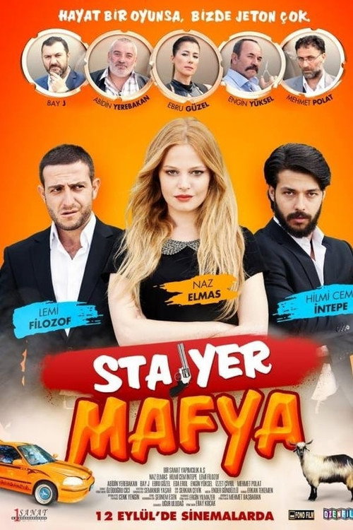 Movie poster for Stajyer Mafya (2014)