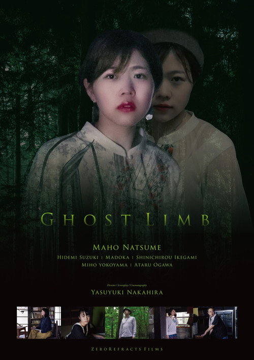 Movie poster for Ghost Limb (2024)