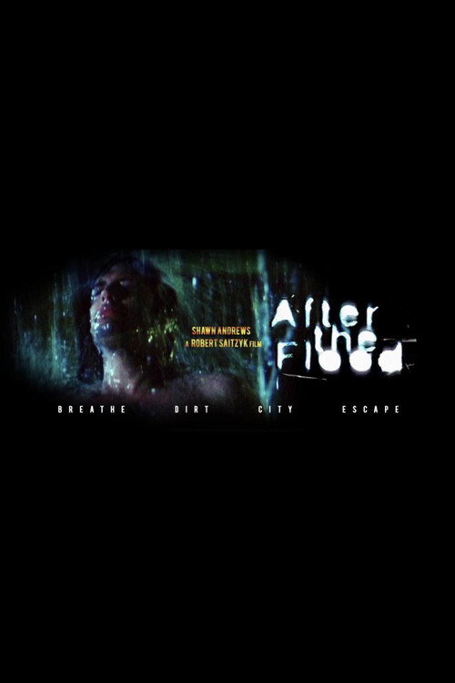 Movie poster for After the Flood (2001)
