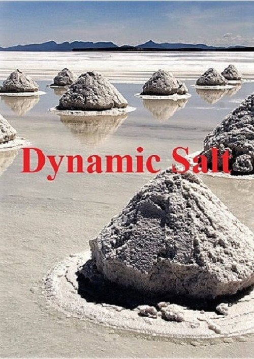 Movie poster for Dynamic Salt (2015)