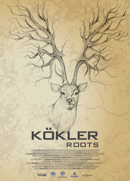 Movie poster for Kökler (2013)