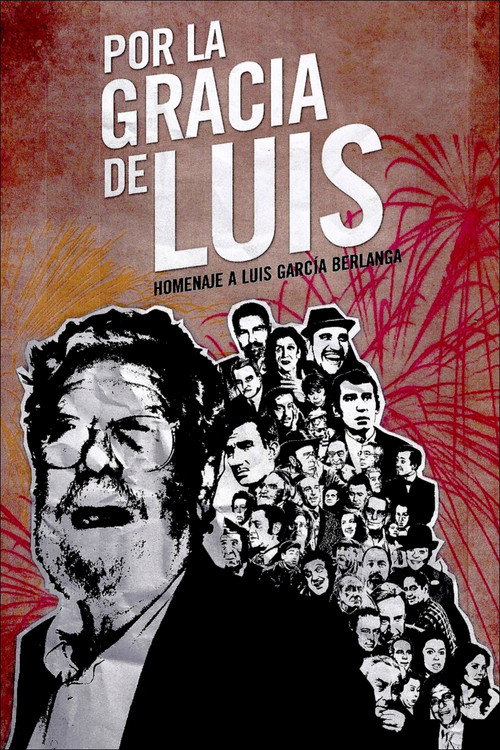 Movie poster for Por la gracia de Luis (2009)