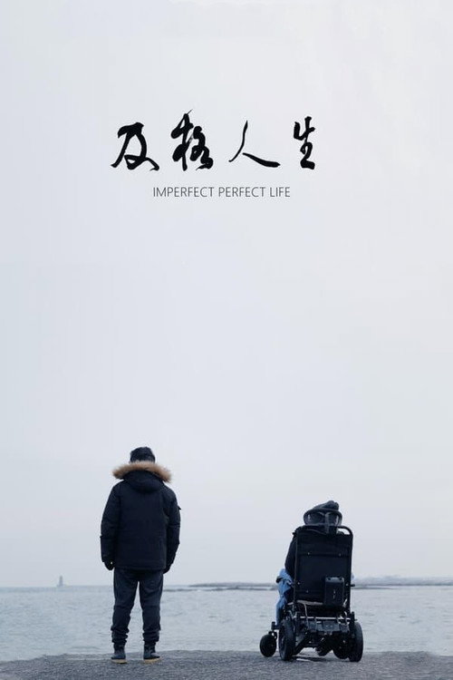 Movie poster for Imperfect Perfect Life (2021)